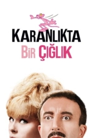 Karanlıkta Bir Çığlık