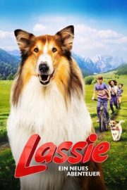 Lassie Yepyeni Bir Macera